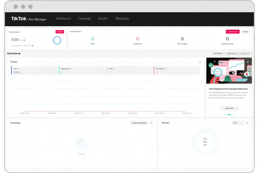 Painel de segmentação de público do TikTok Ads mostrando interesses e comportamentos
